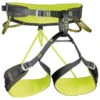 Energy CR 3 - Climbing Harness -Edelrid Sales 2025 camp energy cr 3 climbing harness