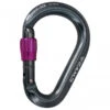 Nimbus Lock - HMS Carabiner -Edelrid Sales 2025 camp nimbus lock hms carabiner