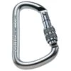 Steel D - Steel Carabiner 1 Steel D - Steel Carabiner -Edelrid Sales 2025 camp steel d steel carabiner
