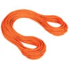 Mammut 9.8 Crag Dry Rope - Single Rope -Edelrid Sales 2025 mammut 98 crag dry rope single rope