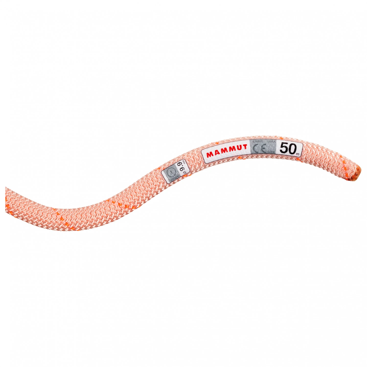 Mammut 9.9 Gym Workhorse Classic Rope - Single Rope 4 Mammut 9.9 Gym Workhorse Classic Rope - Single Rope - Image 2