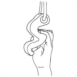 Max Climbing Maxgrip Hybrid - Training Grips 18 Max Climbing Maxgrip Hybrid - Training Grips -Edelrid Sales 2025 max climbing maxgrip hybrid training grips detail 7