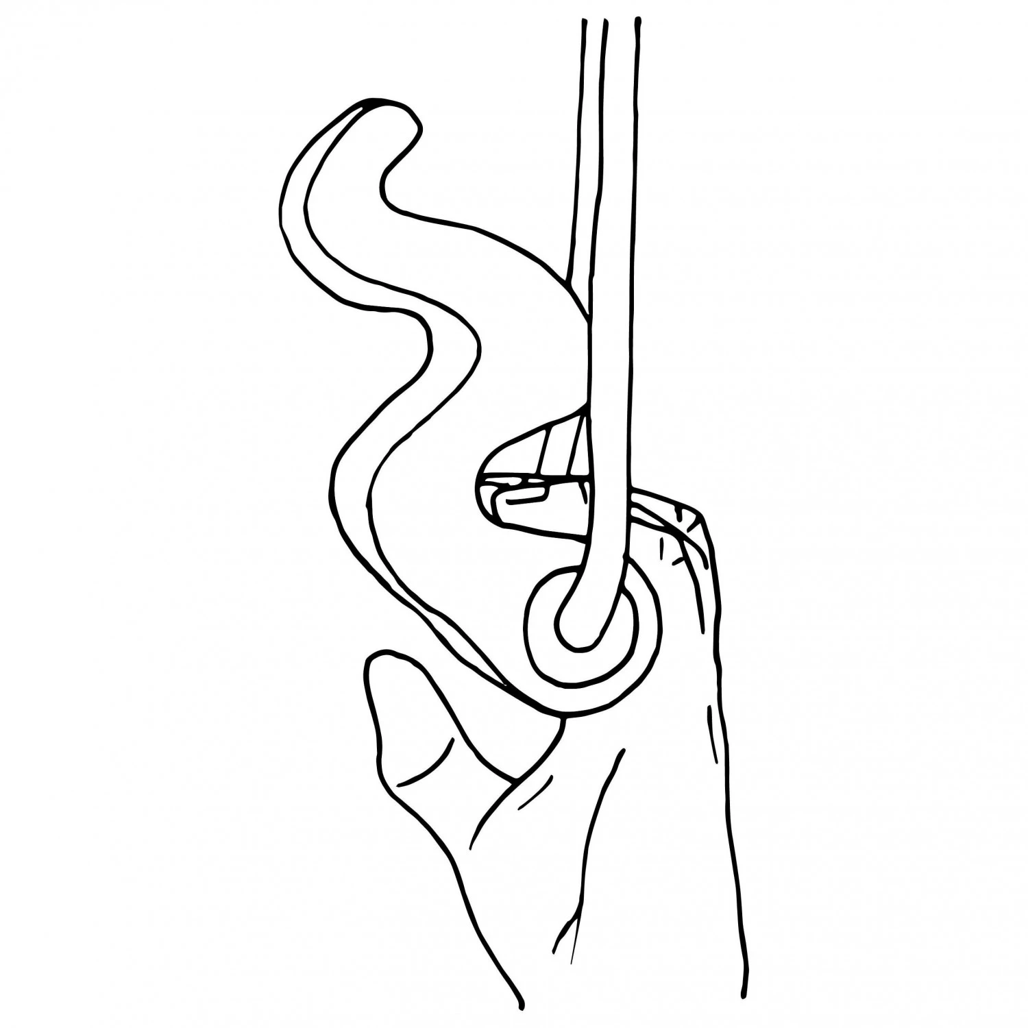 Max Climbing Maxgrip Hybrid - Training Grips 11 Max Climbing Maxgrip Hybrid - Training Grips - Image 9