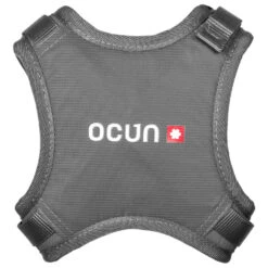 Ocun Chest Kid - Chest Harness 7 Ocun Chest Kid - Chest Harness -Edelrid Sales 2025 ocun chest kid chest harness detail 3
