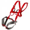 Ocun Kid's Mojo - Full-body Harness